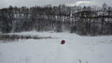 Zimowy spacer na Łysą Górę na Korczynie # 6
